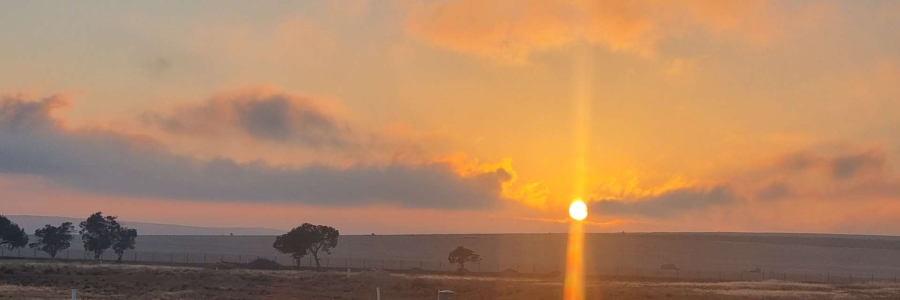 0 Bedroom Property for Sale in Darling Western Cape